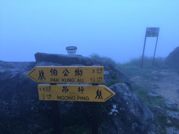了解黑人英文会话NTR 夏目彩春知识星球,探索卓越学习平台